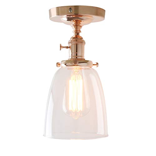 Industrial Vintage Edison Pendant Light Clear Glass Shade Flush Mount Fixture Chandelier