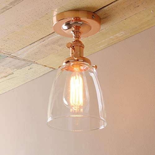 Industrial Vintage Edison Pendant Light Clear Glass Shade Flush Mount Fixture Chandelier