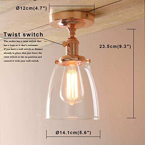 Industrial Vintage Edison Pendant Light Clear Glass Shade Flush Mount Fixture Chandelier