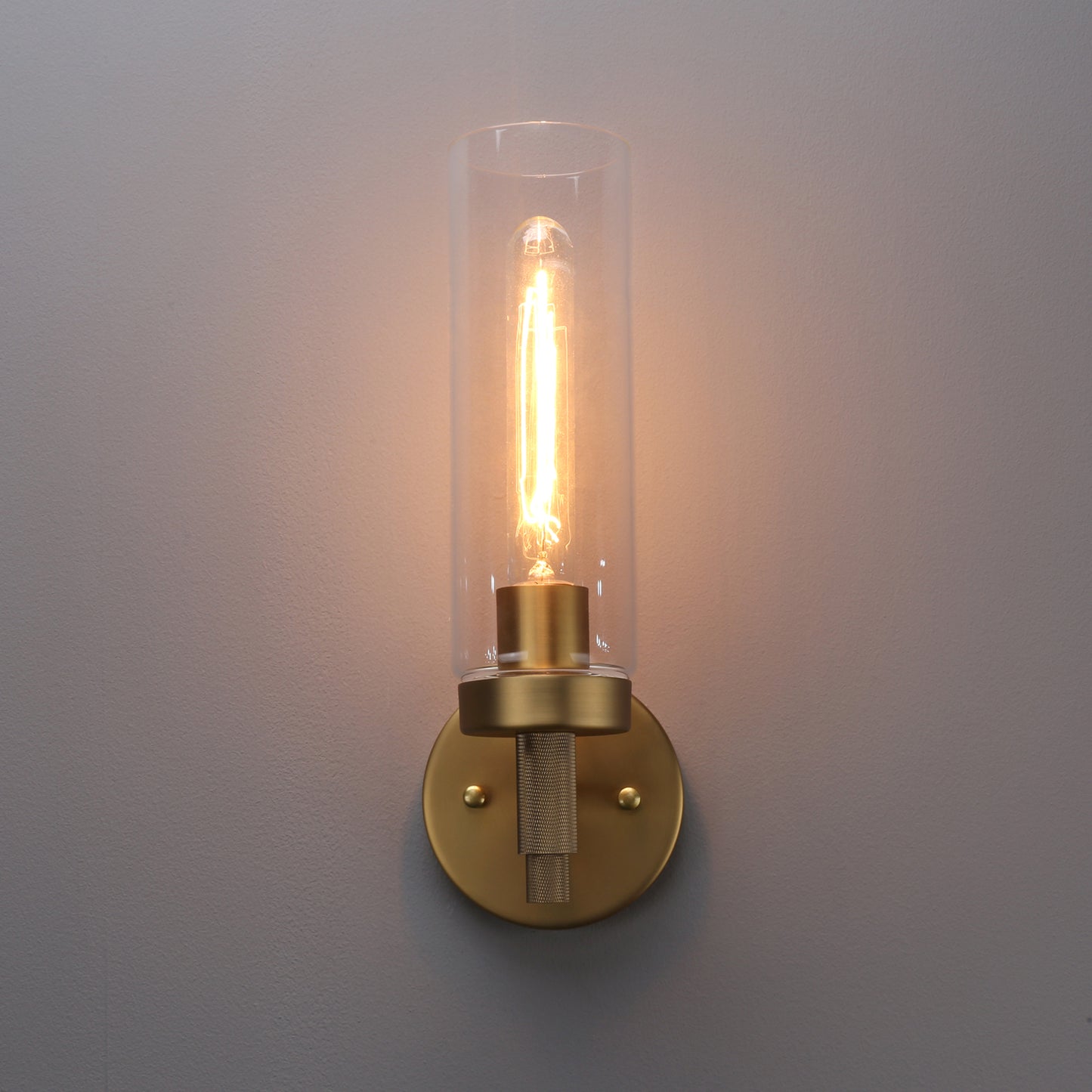 Rustic Industrial Wall Sconce Light with Tubular Clear Glass Lampshade (Antique)